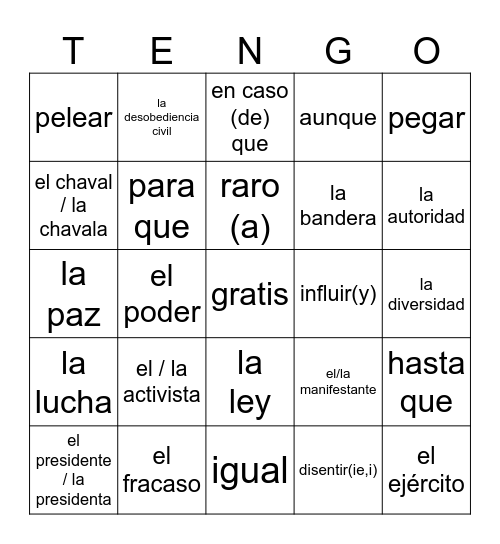 Sp4 Ch6 vocab Bingo Card