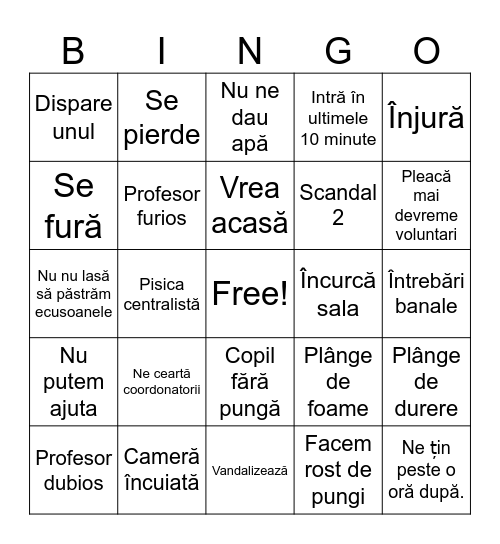Voluntariat BINGOI Bingo Card