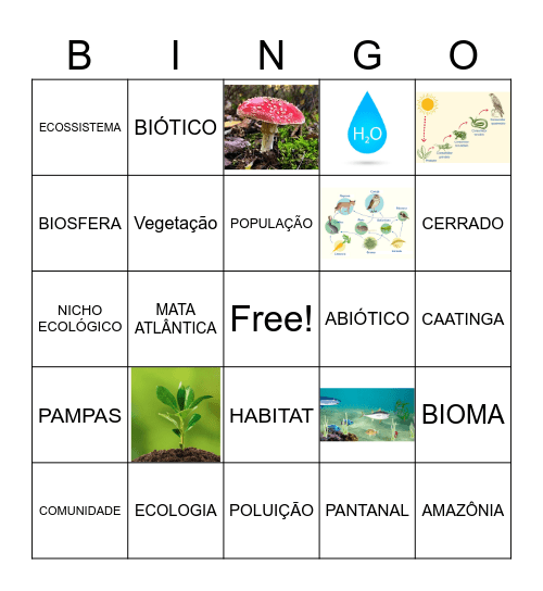BINGO ECOLÓGICO Bingo Card