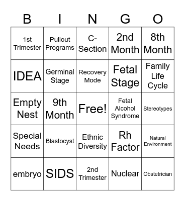 Human Growth & Development 3 &4 Bingo Card