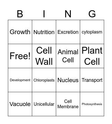 Characteristics of Life Bingo Card