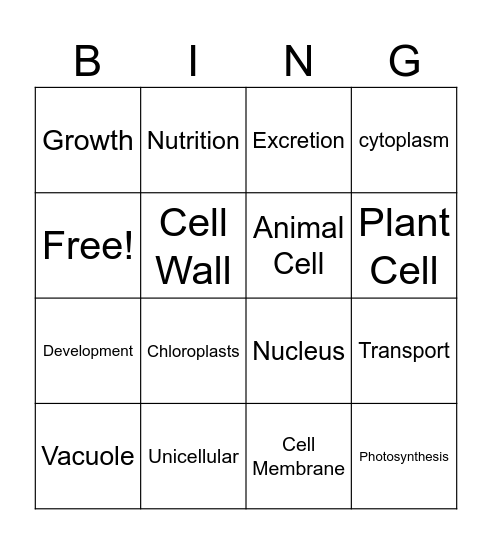 Characteristics of Life Bingo Card