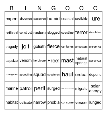 5th Grade Vocab Bingo Card