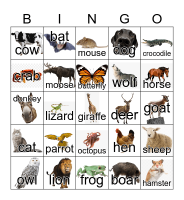 Animals Bingo Card