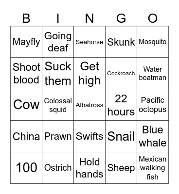 Strange Animal Facts 2 Bingo Card