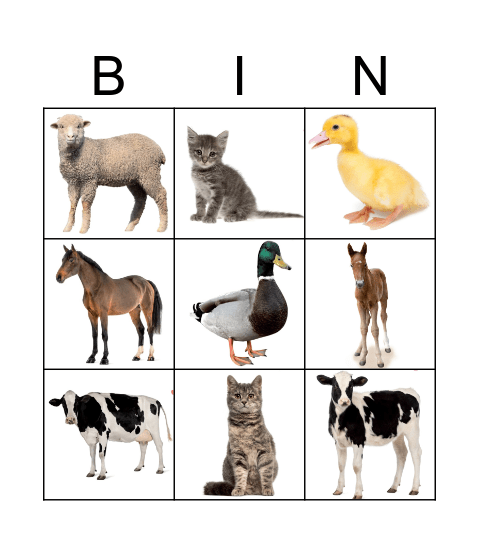 Farm animals: babies and their mums Bingo Card