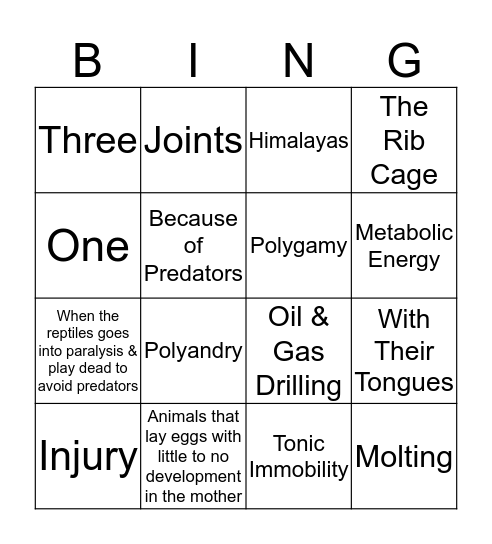 Reptile Bingo Card