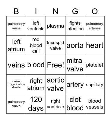 Cardiovascular System Bingo Card