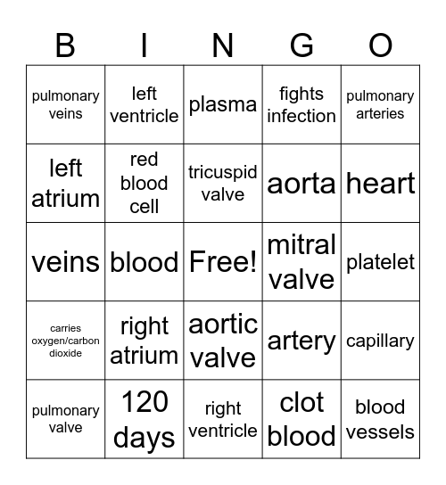 Cardiovascular System Bingo Card