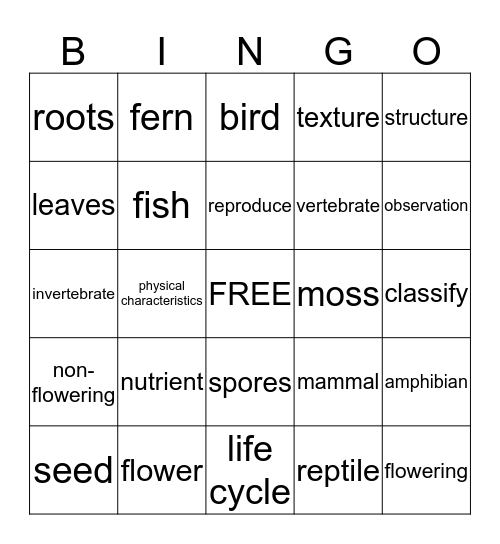 Plant Structures Bingo Card