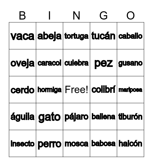 Spanish Bingo for Kids Bingo Card