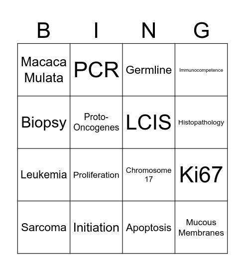 ANT 111 Presentation Bingo Card