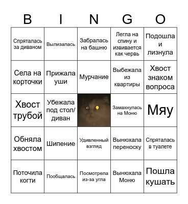 Пxс x Мxня Bingo Card