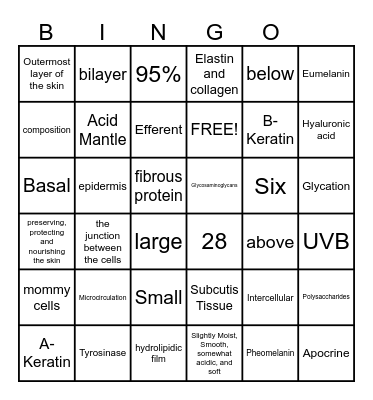 Ch. 3 Bingo Card
