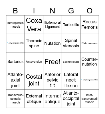 Kinesiology Review Bingo Card