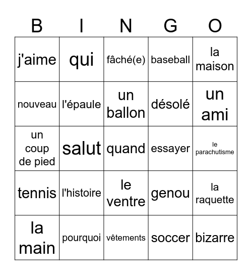 Salut Mon Ami Bingo Card