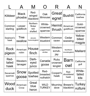 LAMRC Birds Bingo Card