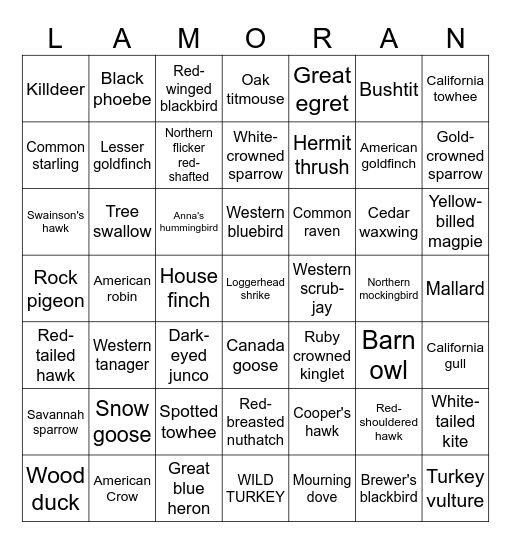 LAMRC Birds Bingo Card