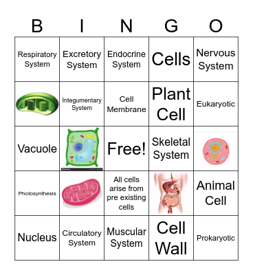 Cells and Body Systmes BINGO Card