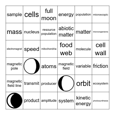 LEAP Review Bingo Card