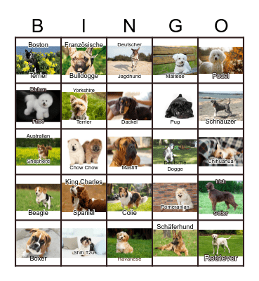 Dogs Bingo Card