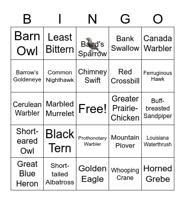 Bird Bingo Card