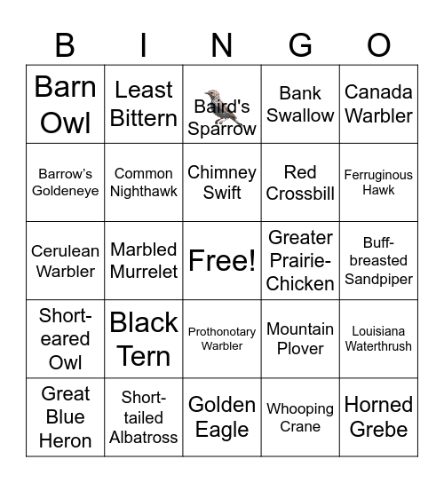 Bird Bingo Card