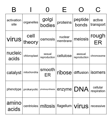EOC Biology Review Bingo Card
