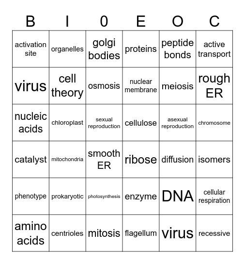 EOC Biology Review Bingo Card
