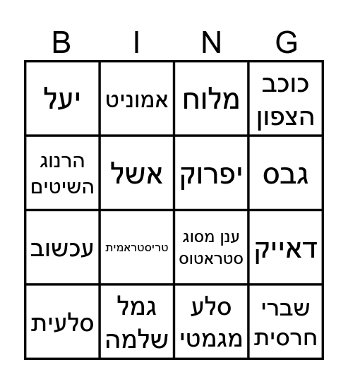 מסע פסח Bingo Card