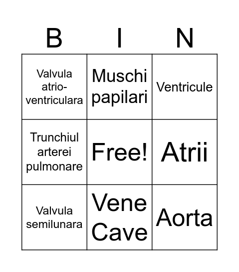 Anatomia inimii Bingo Card