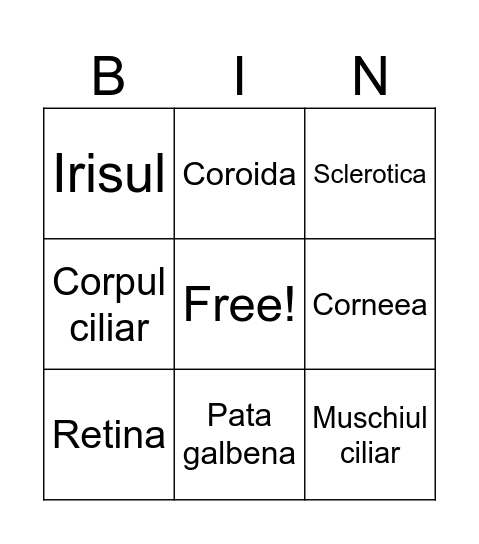 Structura ochiului uman Bingo Card