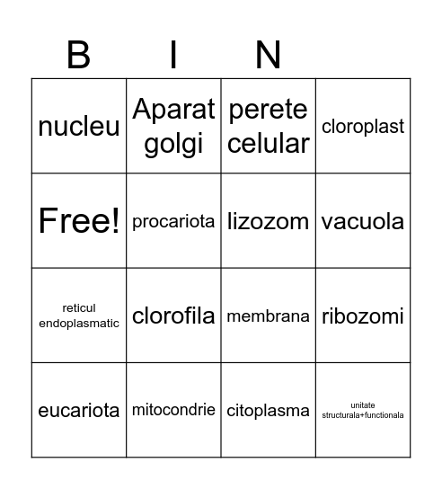 Celula Bingo Card