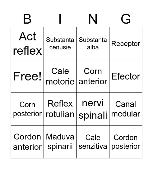 Maduva spinarii - Recapitulare Bingo Card