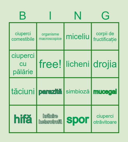 Regnul Fungi Bingo Card