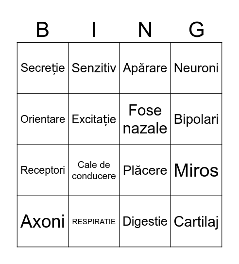 Nasul Bingo Card