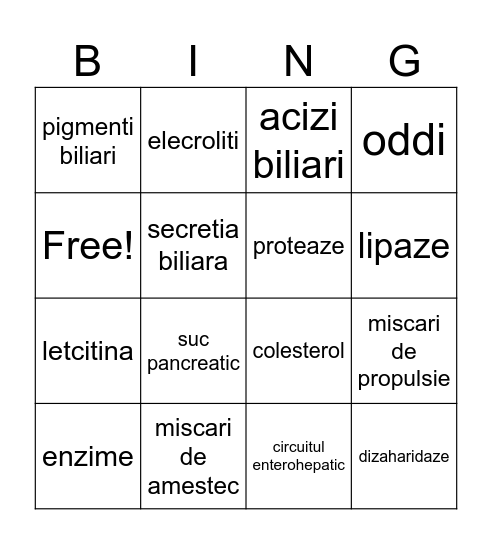sistemul digestiv Bingo Card