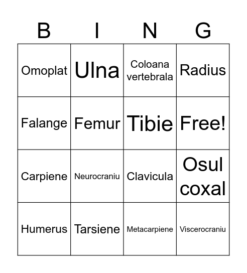 Sistemul locomotor Bingo Card