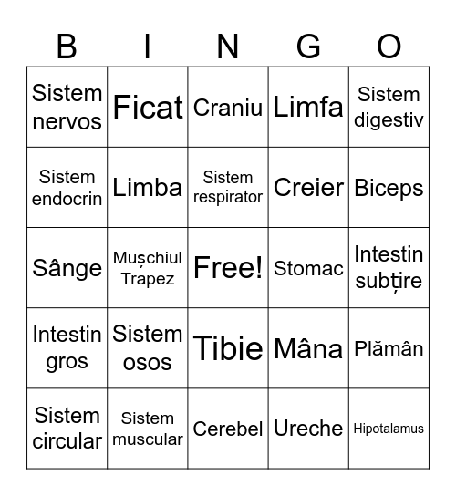 Funcțiile de nutriție Bingo Card