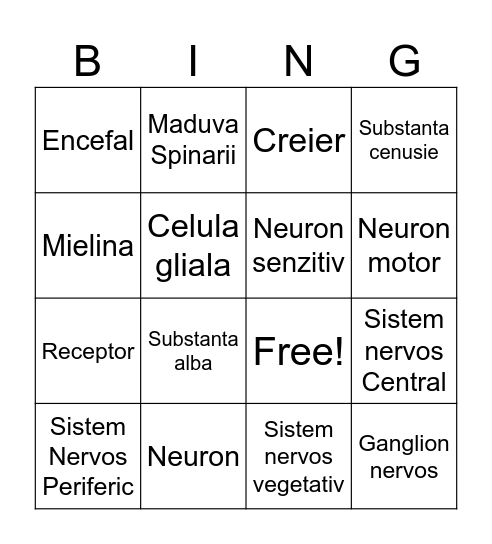 Sistemul nervos Bingo Card