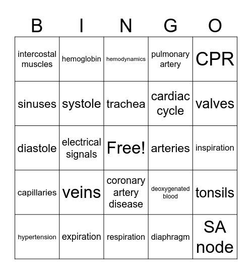 Test 5 Bingo Card