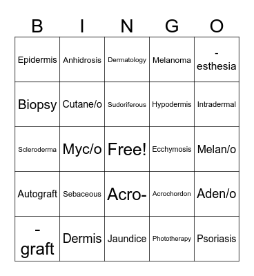 Integumentary System Bingo Card