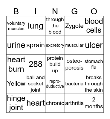 Human Body Systems Bingo Card