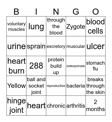 Human Body Systems Bingo Card