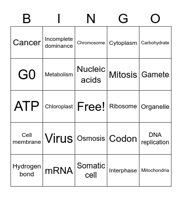Biology Vocabulary Review Bingo Card