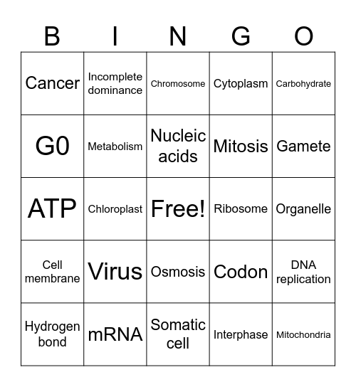 Biology Vocabulary Review Bingo Card