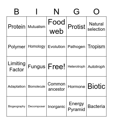 Biology Vocabulary Review Bingo Card