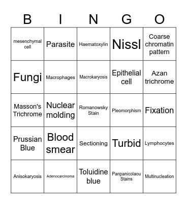 The Lab is Everything Bingo Card