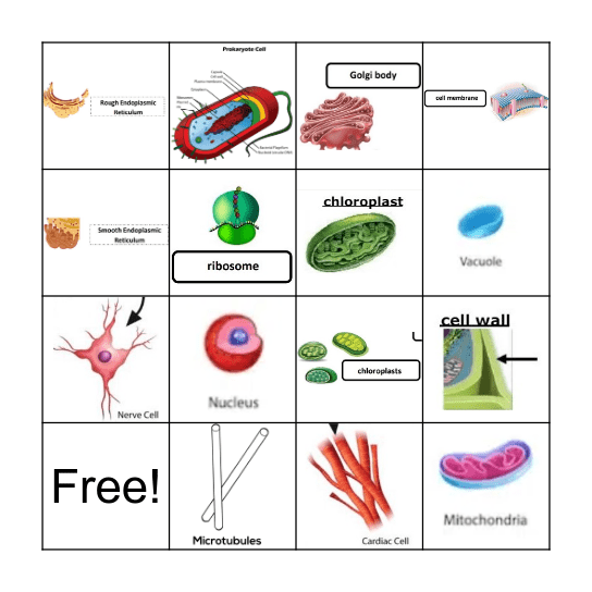 Cell Bingo Card
