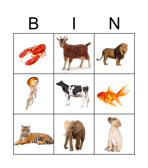 Animals Bingo Card